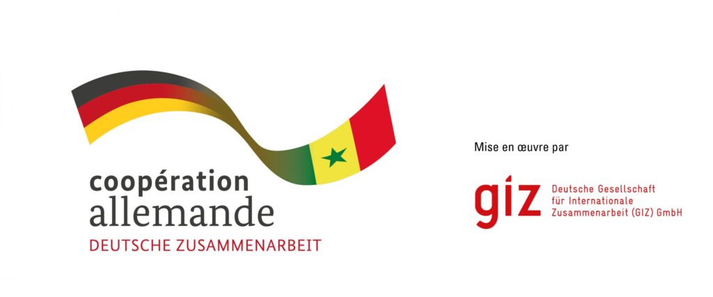 Logoleiste-Senegal-scaled